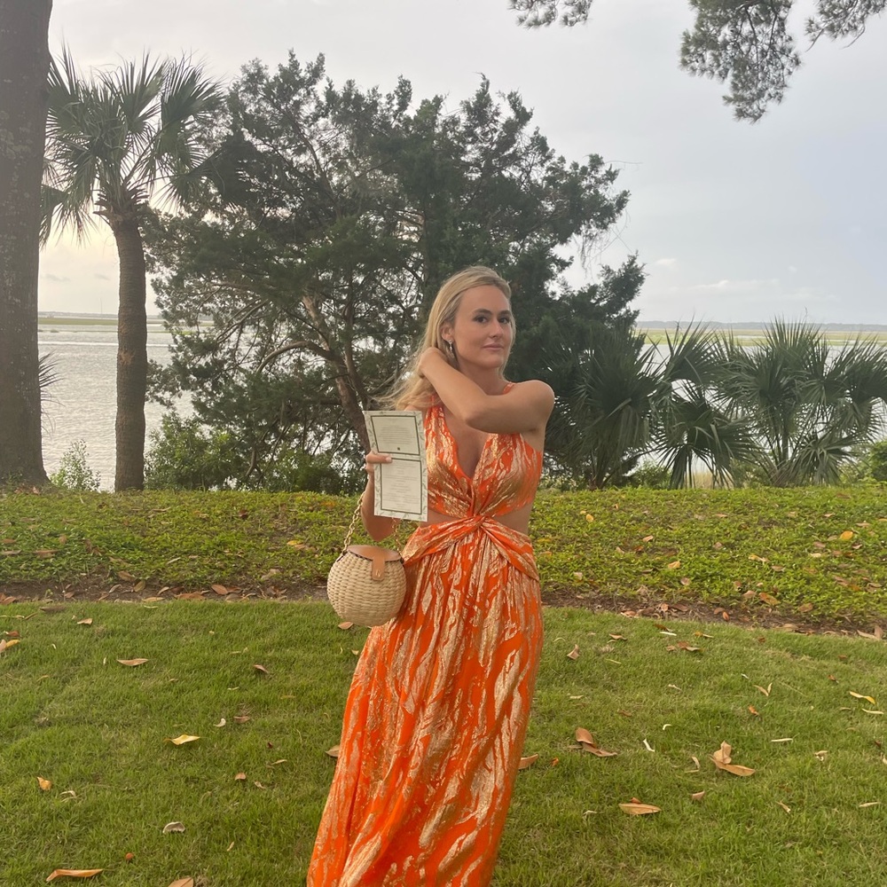 Ramy Brook Orange and Metallic Maxi Dress - Picture 5 of 7